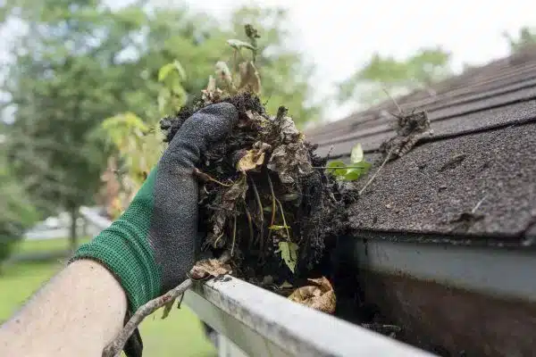 Gutter Cleaning Company Near Me in Albany NY 40
